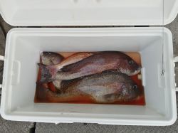 ★お客様釣果★
