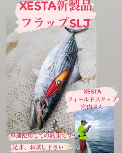 ★★お客様釣果★★